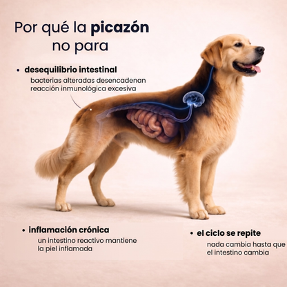 Pupganics™ Masticables Multivitamínicos de Apoyo Diario