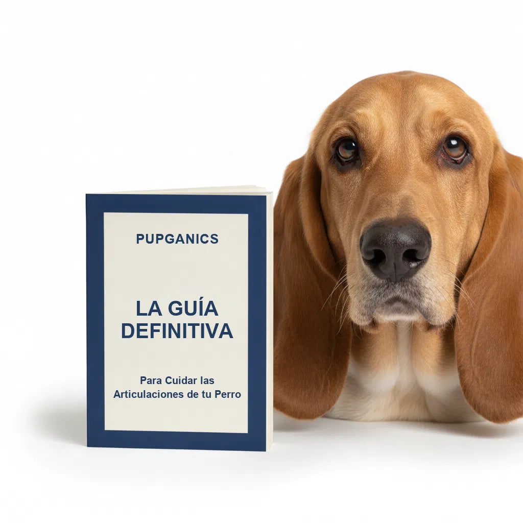 E-Book sobre deficiencias nutricionales